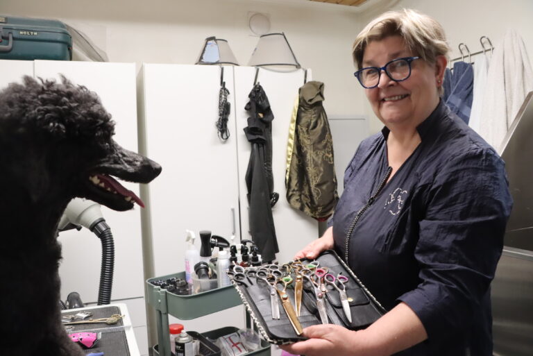 Hunden Jessie koser seg hos Solveig Holth. Han er en av mange hunder som finner veien hit.