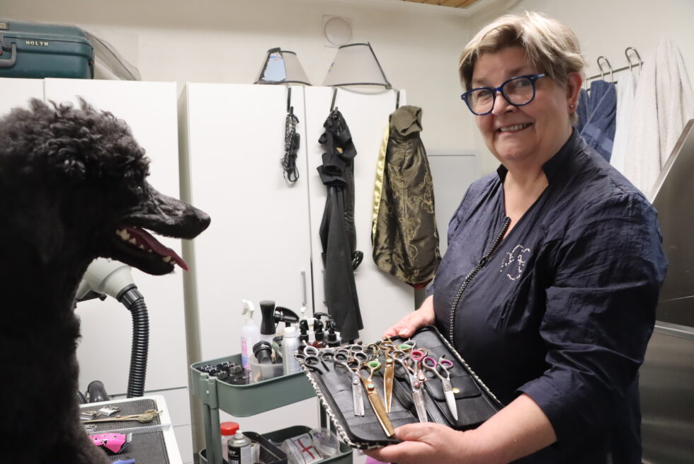 Hunden Jessie koser seg hos Solveig Holth. Han er en av mange hunder som finner veien hit.