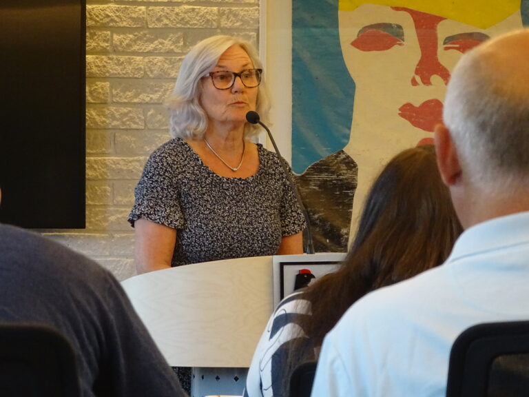 Nestleder i representantskapet i det interkommunale Glåmdal Brannvesen, Berit Haveråen, på talerstolen i kommunestyret i Eidskog.