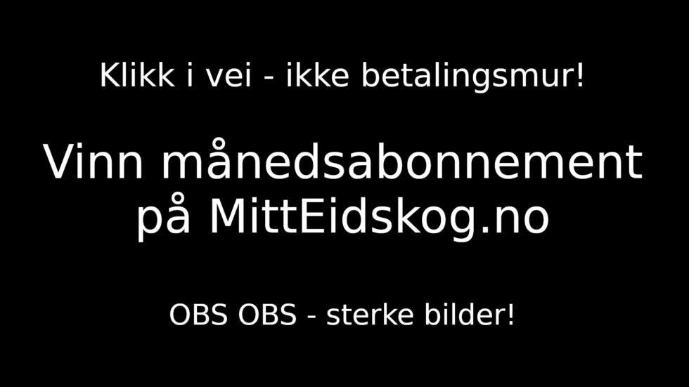 Frivillig-motor, ildsjel og krumtapp Joakim Jocke L. Nilsson stiller gjerne opp for en god sak. Som en sommerkonkurranse for Mitt Eidskog.
