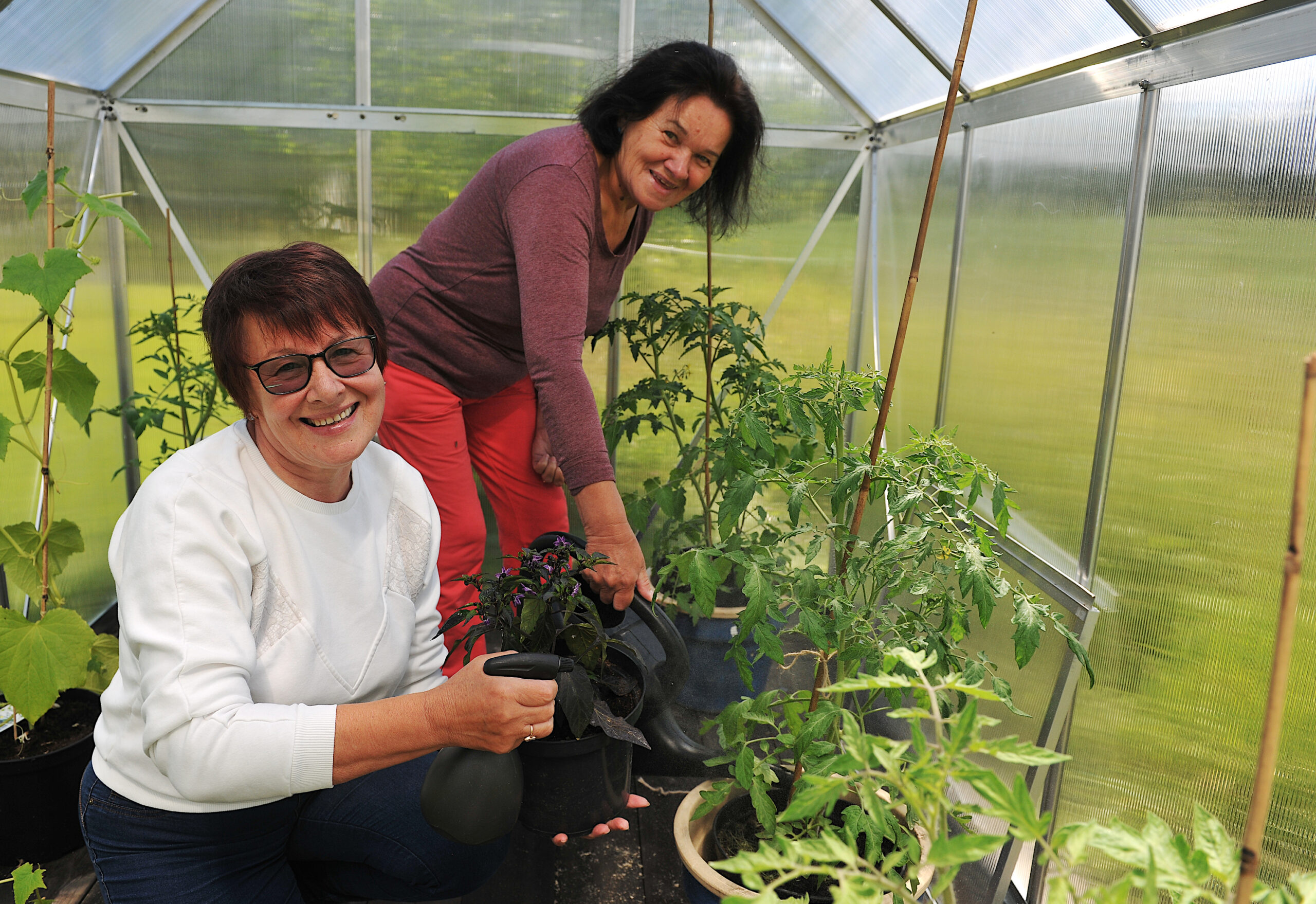 Grønne fingre og ro. Søstrene Tetiana Bundarenko og Natalia Hlushchenko bruker tid og planter for å finne ro.