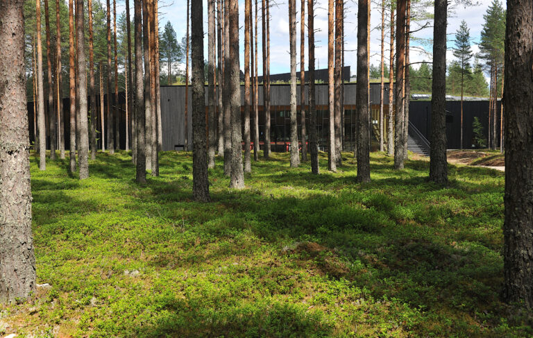Skogen skulle stå helt inntil The Plus.