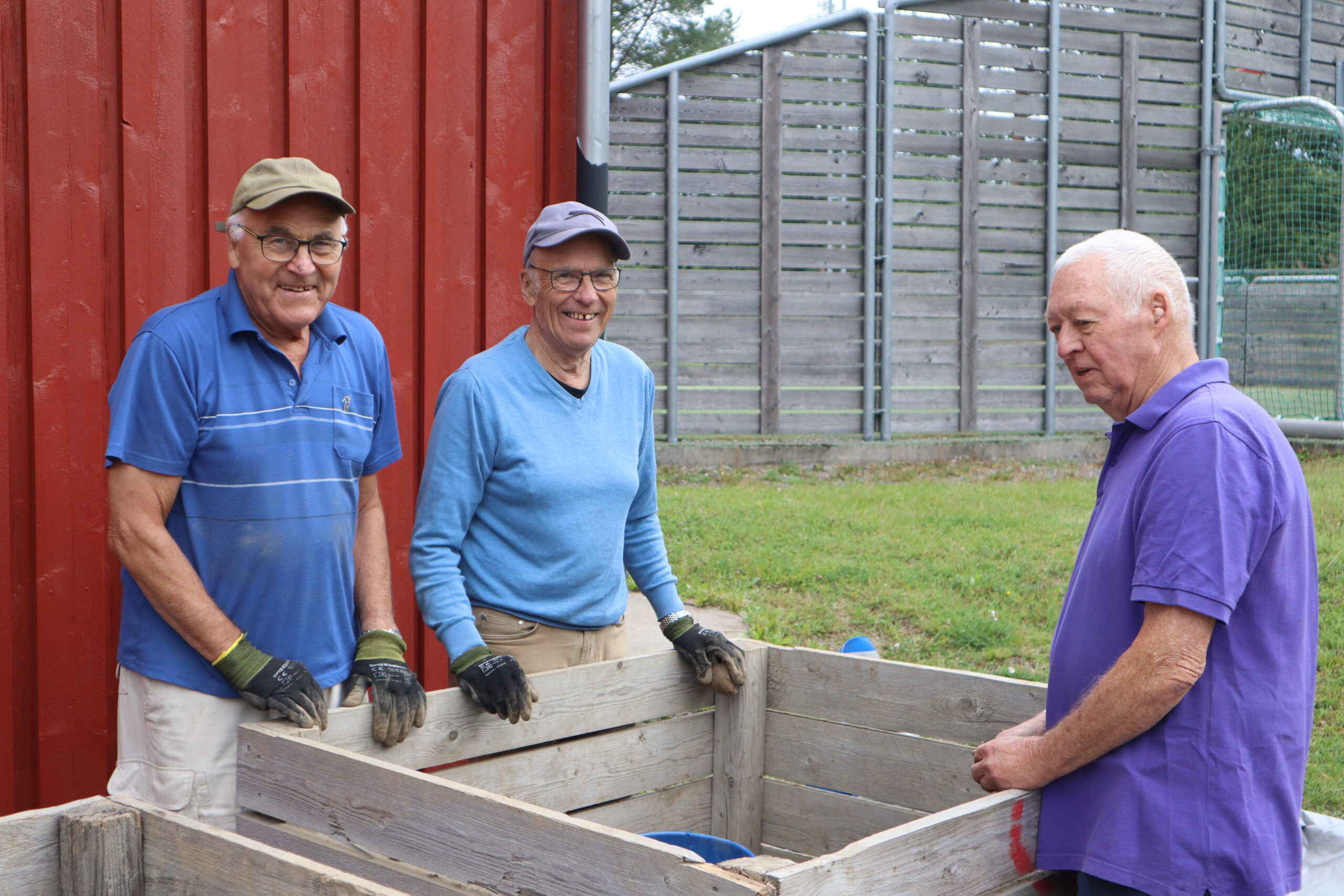 Kjell Nordermoen (f.v.), Bjørn Rinden og Dan Linnerud har hendene fulle med å fjerne røttene fra potetene.