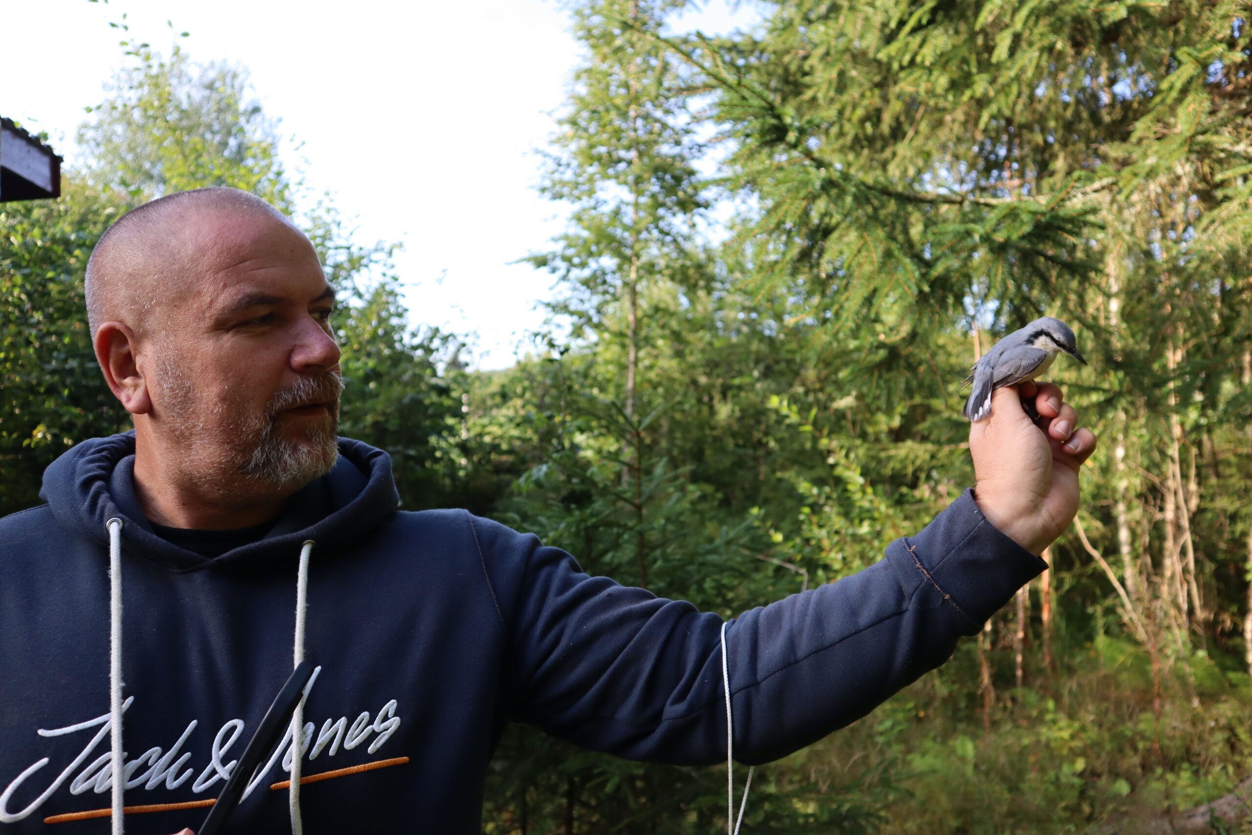 Registreringen og merkingen brukes til å bygge ny kunnskap om fugl. Morten har lang trening og mye utdanning bak seg for å få drive som ringmerker.