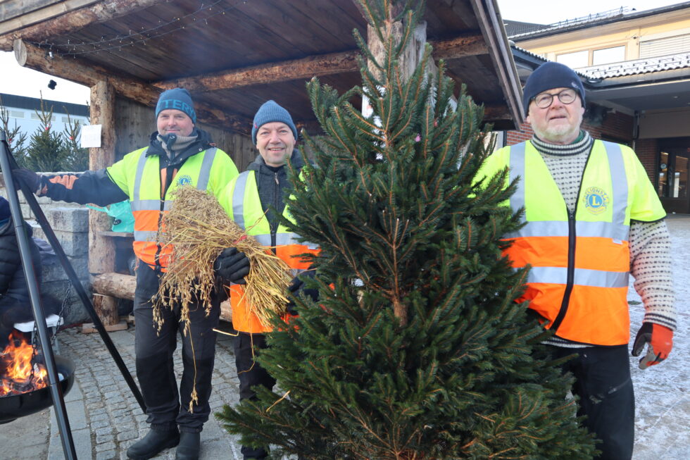 Pål Tuhus, Cato Amundsen og Arnfinn Granstrøm er noen av Lions medlemmene i Eidskog som skal selge juletrær på Emmas plass fram til jul