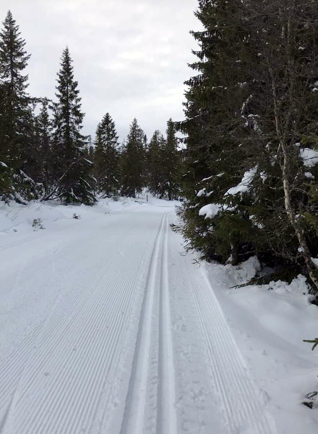 Flere steder melder lag og foreninger om gode skiforhold og det er mange løyper å velge mellom.