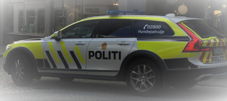 Yrkessjåføren fra Latvia kom seg aldri til Gjøvik. På Magnormoen måtte han bli med politiet til legevakta, hvor det ble konstatert at han var påvirket av THC
