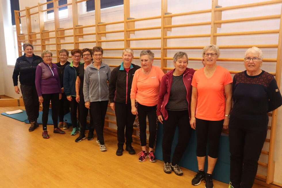 Fra venstre: Lise Dahl, Edle Nygård, Ann Mari Tollefsbøl, Anne-Berit Svensen, Torill Setherberget, Gerd Liheim, Reidun Dalsjø, Märta Fuuseth, Turid Nygård, Berit Gulbrandsen og Randi Haugen deltok på trimmen da Mitt Eidskog var innom.