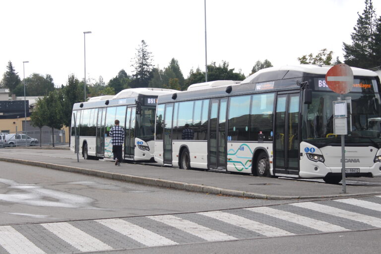 Innlandstrafikk kommer også i år til å gjøre det billig på tur i juli.
