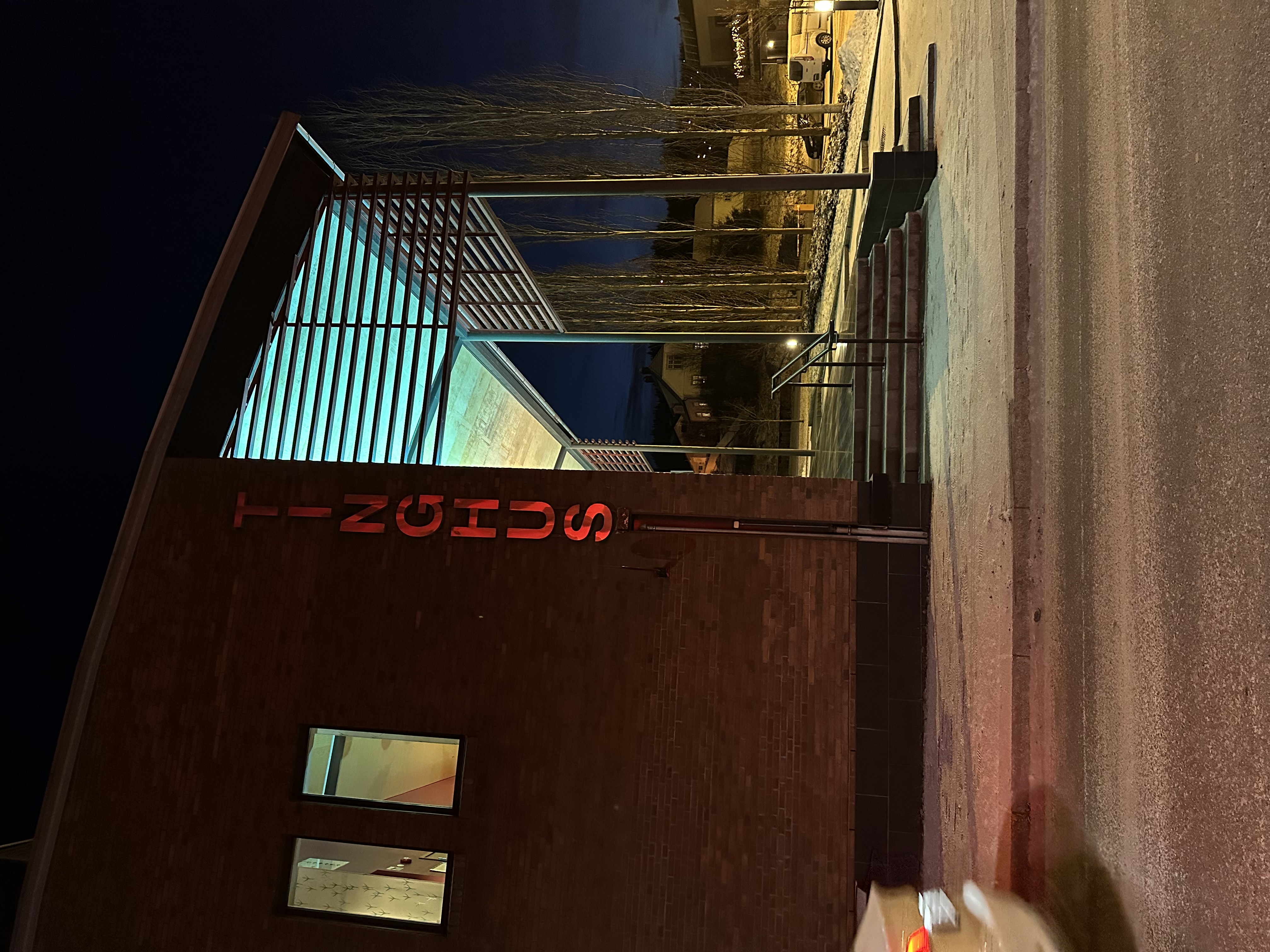 I går ble den svenske kvinnen fremstilt for forlenget fengsling i Romerike og Glåmdal tingrett. Hun kan holdes bak lås og slå frem til 13. mars om ikke annet blir bestemt.
