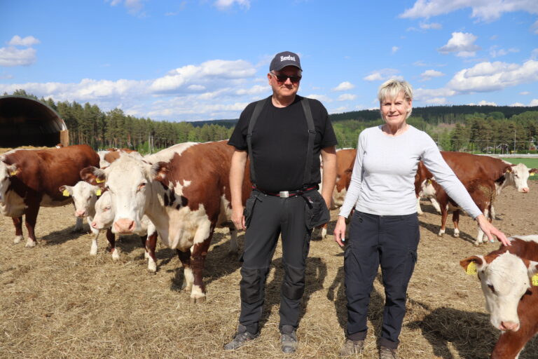 Du har kanskje sett alle kyrene på Prestegården langs riksvei 2. Nå er de også å se på en reklame for Gilde med Jan-Erik Svensson og Inger-Eva Teksum i spissen.