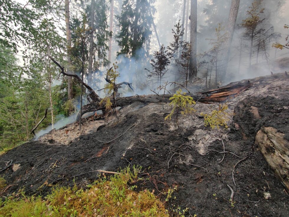 Det tok fyr i skogen mellom Skotterud og Magnor torsdag ettermiddag.