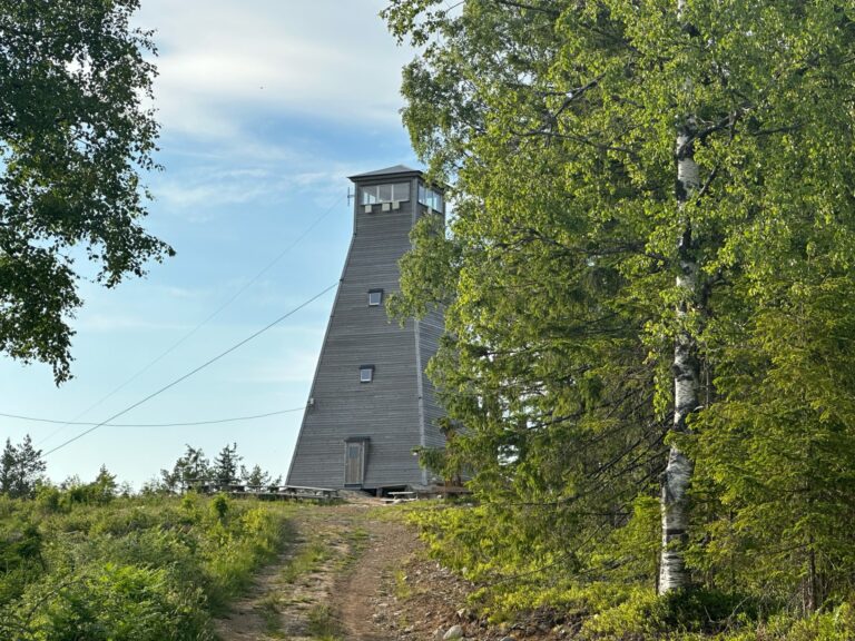 Hornkjøltåret strekker seg 18,5 meter opp og fra toppen byr det på en imponerende utsikt.
