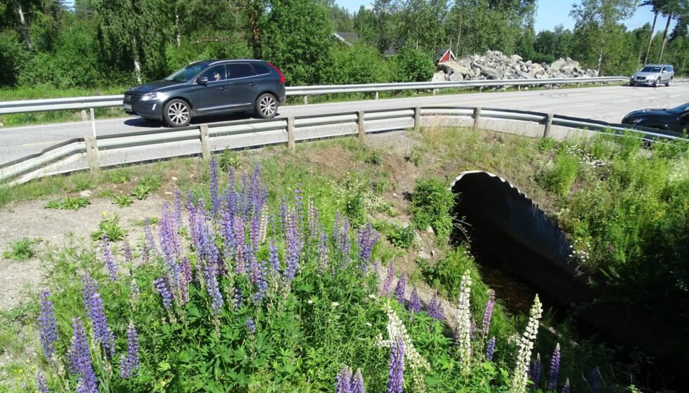 På fylvesveg 21 ved Tobøl bad blir det redusert fremkommelighet i lengre tid.
