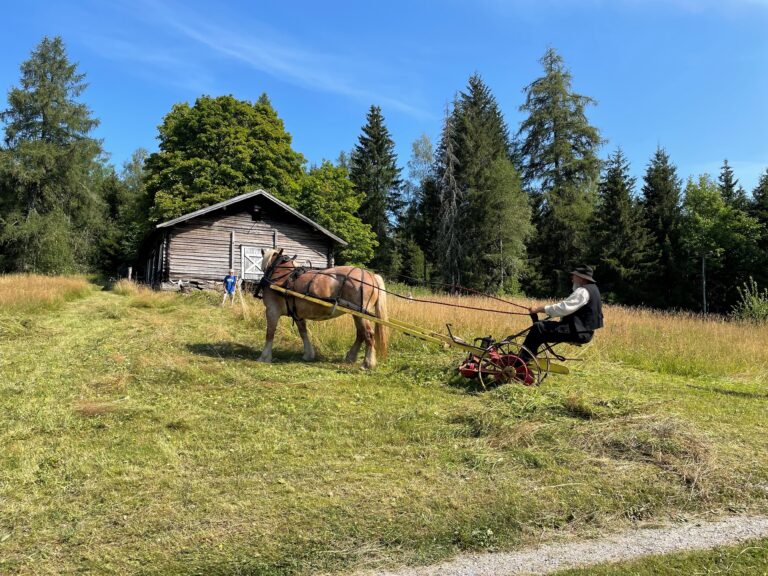 Det er mange kulturminner i Innlandet. Orala er et av dem. Innlandet fylkeskommune minner om at fristen for å søke om støtte til kulturminner er 1. november.