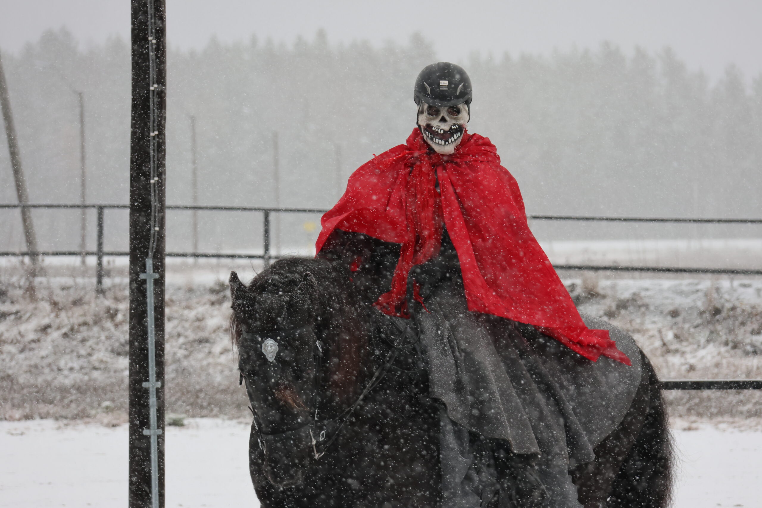 Ida Marie Huse Gulbrandsen leder i Eidskog Ride- og kjøreklubb var et skummelt skjelett til hest på travbanen på søndag.