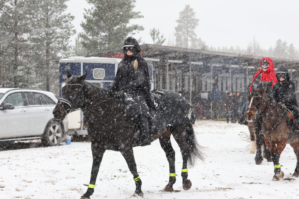 Snøværet satte ikke en stopper for kostymerittet til Eidskog ride- og kjøreklubb. Mange ble nok vitne til et helt spesielt følge til hest på Magnor søndag.