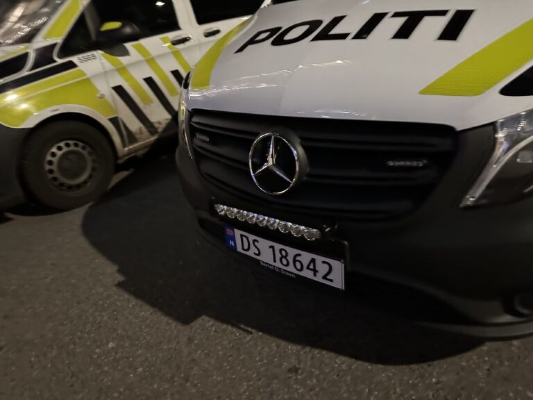 Politiet stilte mannsterke på rasteplassen mellom Skotterud og Matrand. Føreren av en svensk registrert bil ble fotgjenger etter møtet med lovens håndhevere.