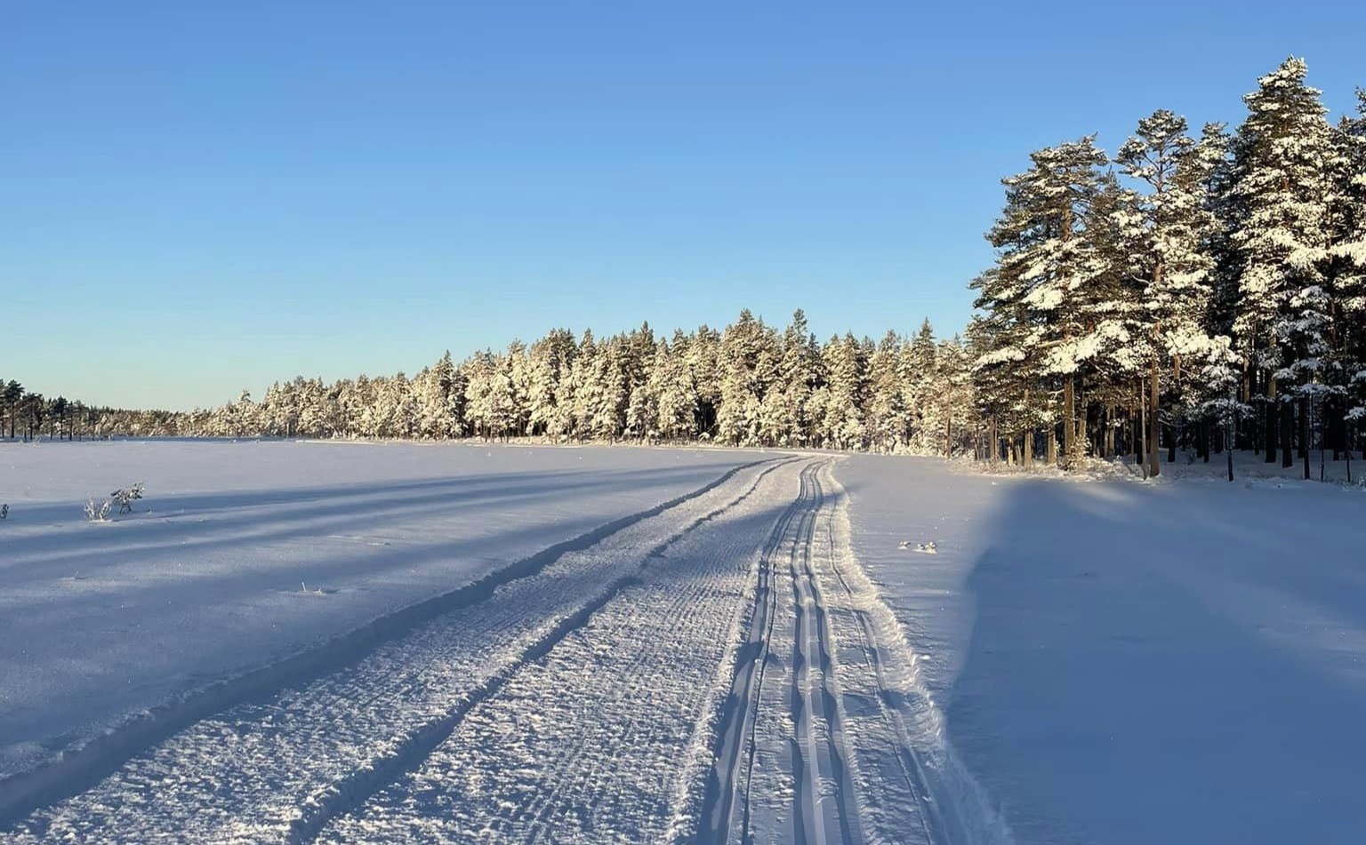 Det har vært noen idylliske dager til å gå på ski i romjula i Eidskog, og snøen ser ut til å skulle holde seg.