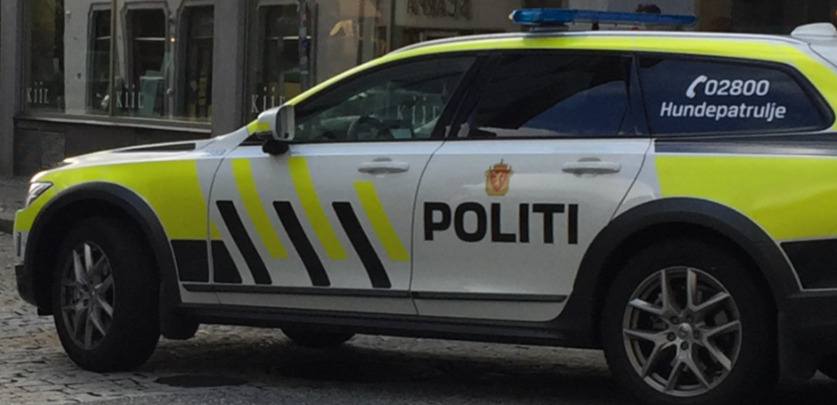 Det var dramatikk da politiet måtte ta pepperspray til hjelp for å kunne pågripe bilføreren som stakk av til fots etter en dramatisk bilforfølgelse.
