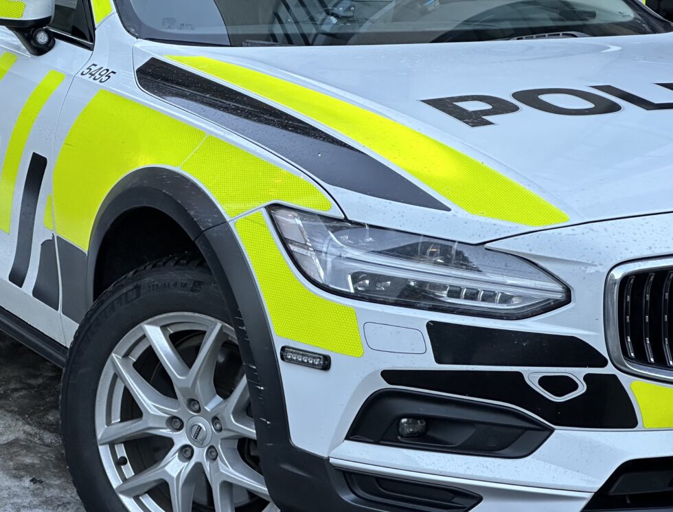 Eidskogingen innrømmer at det svartnet for ham. Nå er han straffet for voldsutøvelse.