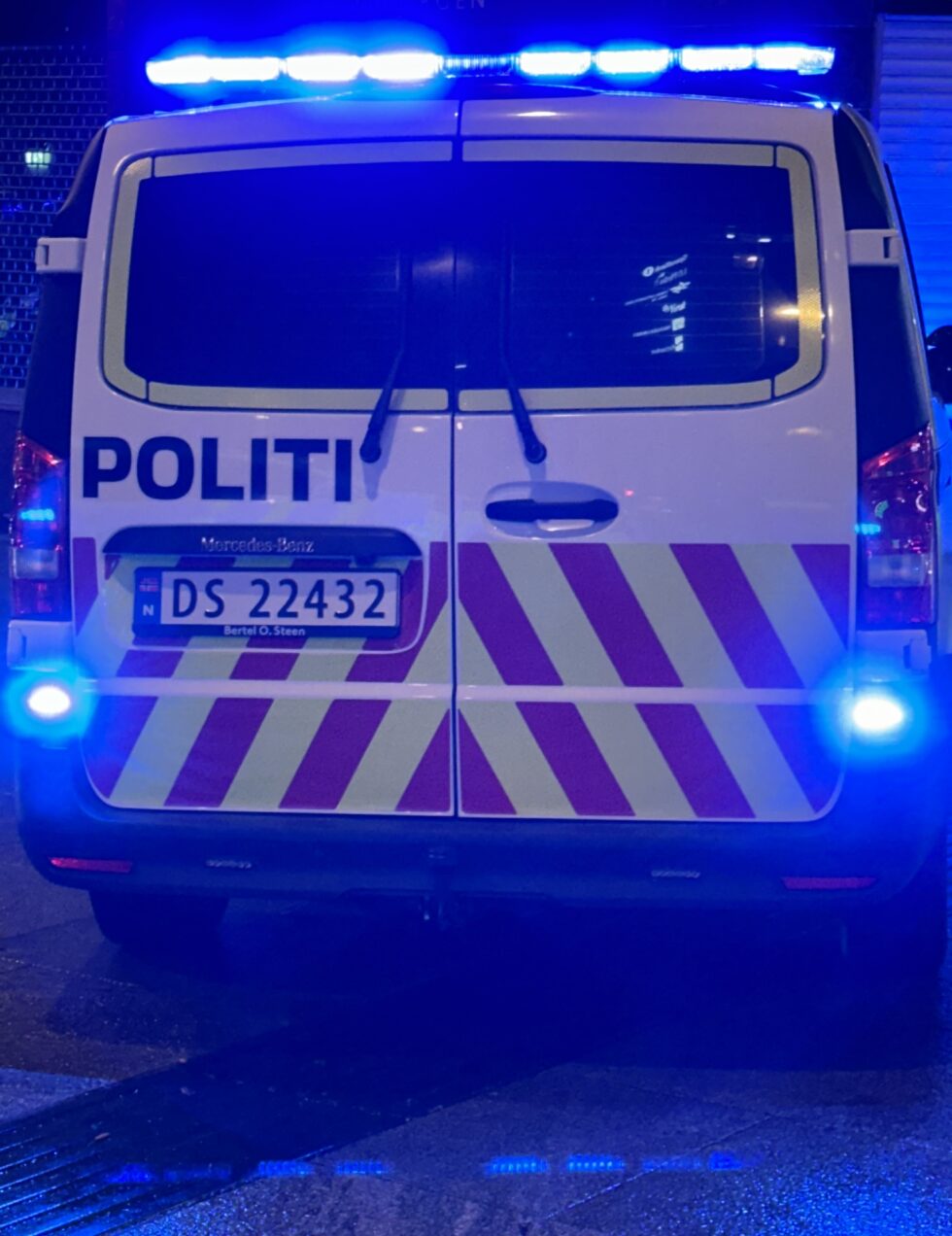 Politiet stanset en mann i Eidskog, og avslørte at han nok en gang hadde brutt loven. Nå må han i fengsel.