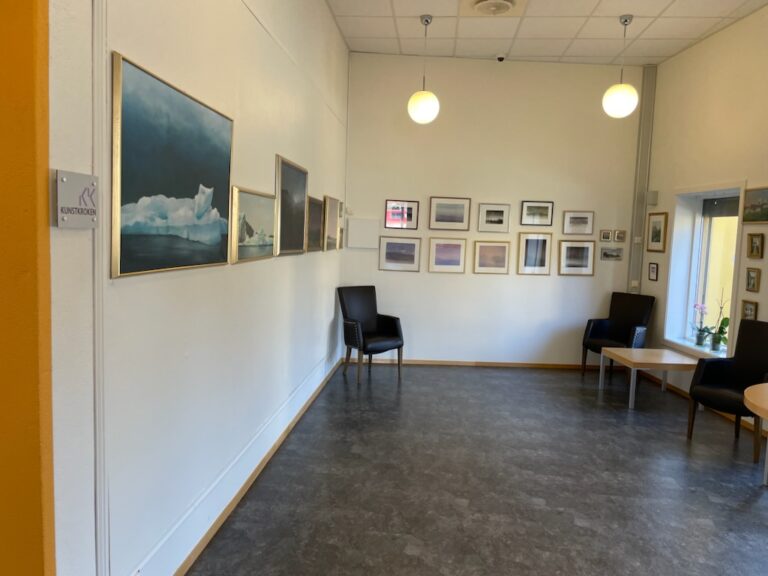 I kunstkroken på Tyrielden Eidskog Bibliotek henger bildene til Arne Martinsen.