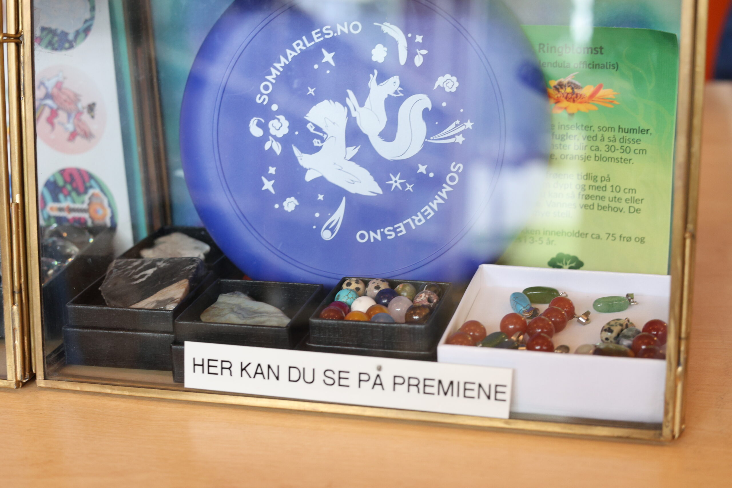 Dette er noen av premiene man kan hente dersom man har lest nok.