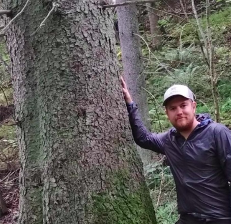 Håvar Bunes som forsker på høye trær har funnet ut at det høyeste treet i gamle Hedmark mest sannsynlig står i Eidskog. Bildet av Bunes er tatt i forbindelse med undersøkelse av et annet stort tre.
