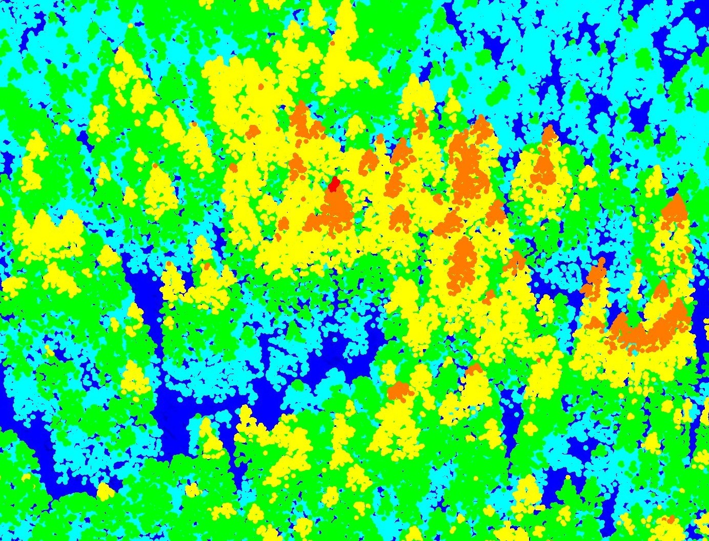 Ved hjelp av laserdata og en metodikk for å finne frem til alt over en viss høyde over bakken har forskerne kommet frem til at det høyeste treet med stor sannsynlighet står i Eidskog.