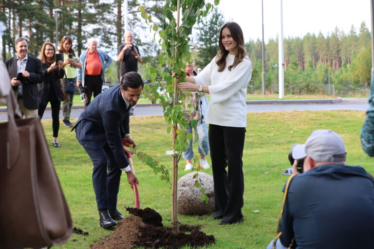 Det er flere ministere som har plantet tre ved Morokulien. Prins Carl Philip og prinsesse Sofia er de første kongelige som har gjort det samme.
