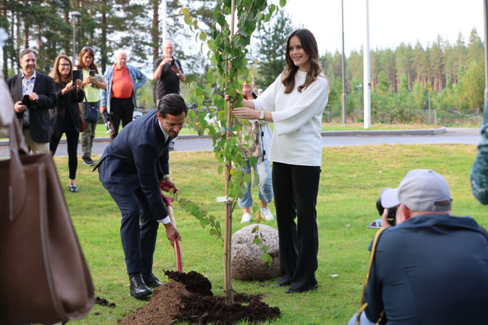 Det er flere ministere som har plantet tre ved Morokulien. Prins Carl Philip og prinsesse Sofia er de første kongelige som har gjort det samme.