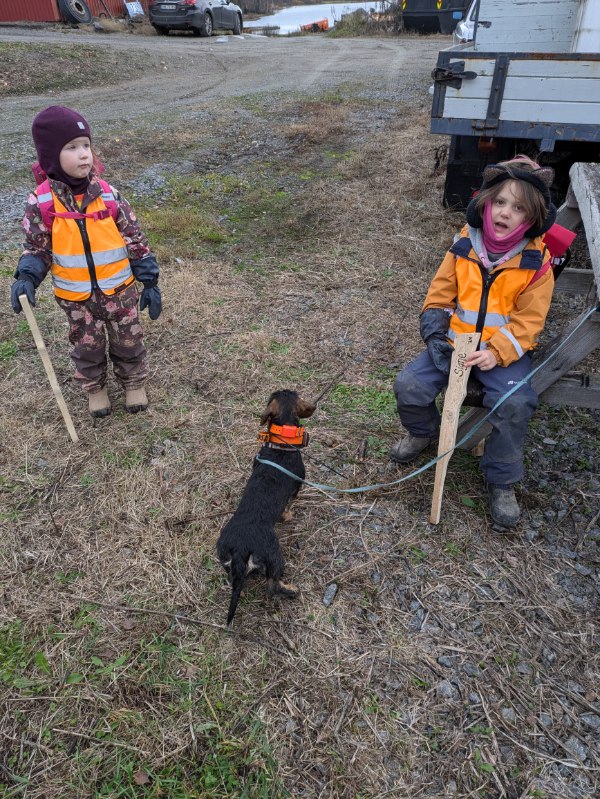 Telma og Signe fra Eidskog Naturbarnehage hadde en spennende dag i skogen og fikk oppleve både los og bålkos i løpet av dagen. Men råbukken hadde gjemt seg ltit for godt til at det ble noe bytte denne dagen.