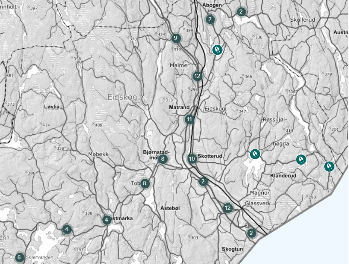 Statistikk fra Horteviltregisteret viser hvor i EIdskog viltpåkjørslene skjer.