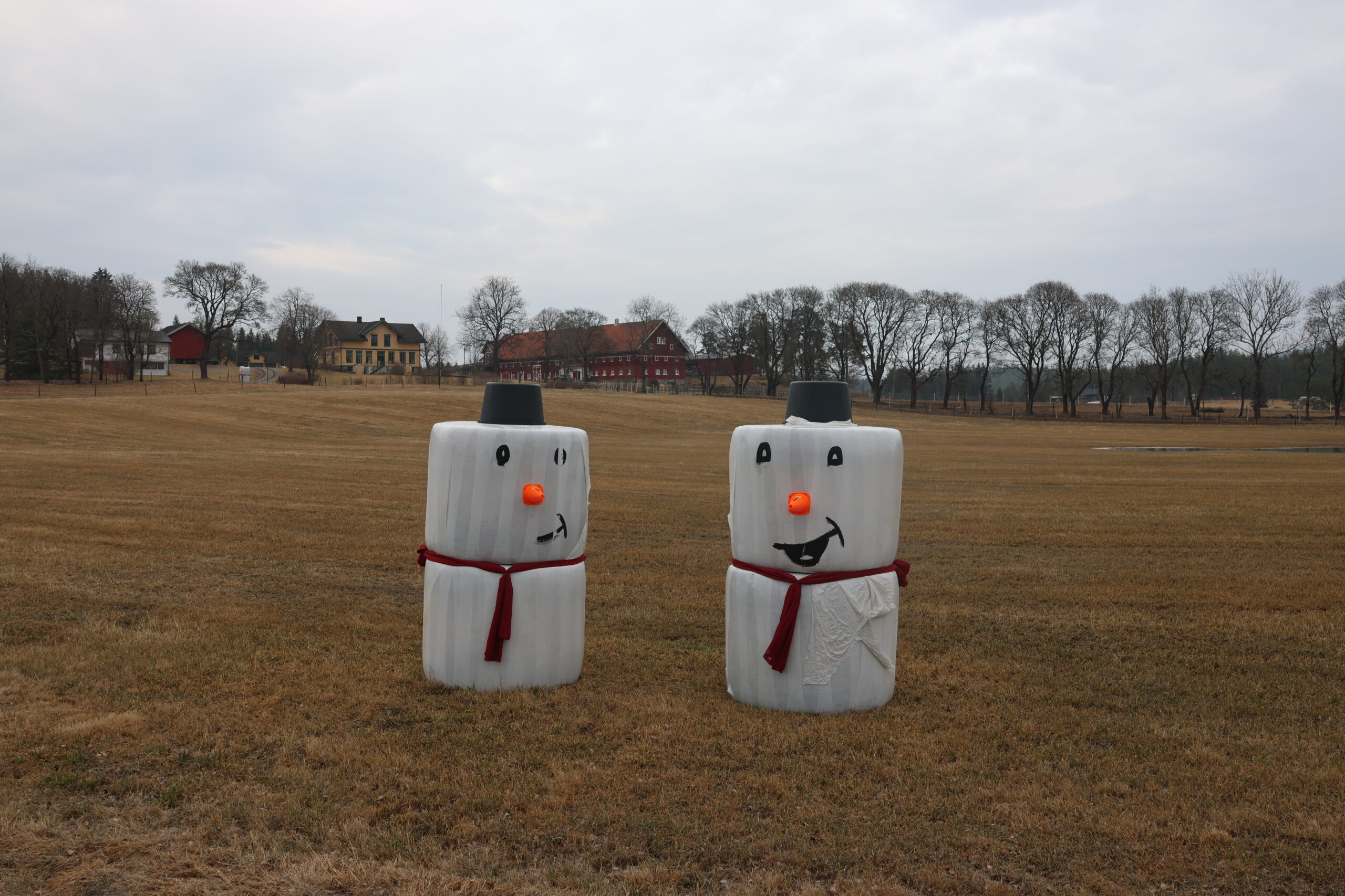 To snømenn er plassert på jordet nedenfor Bråta gård. Begge ser ut til å trives selv i mange plussgrader.
