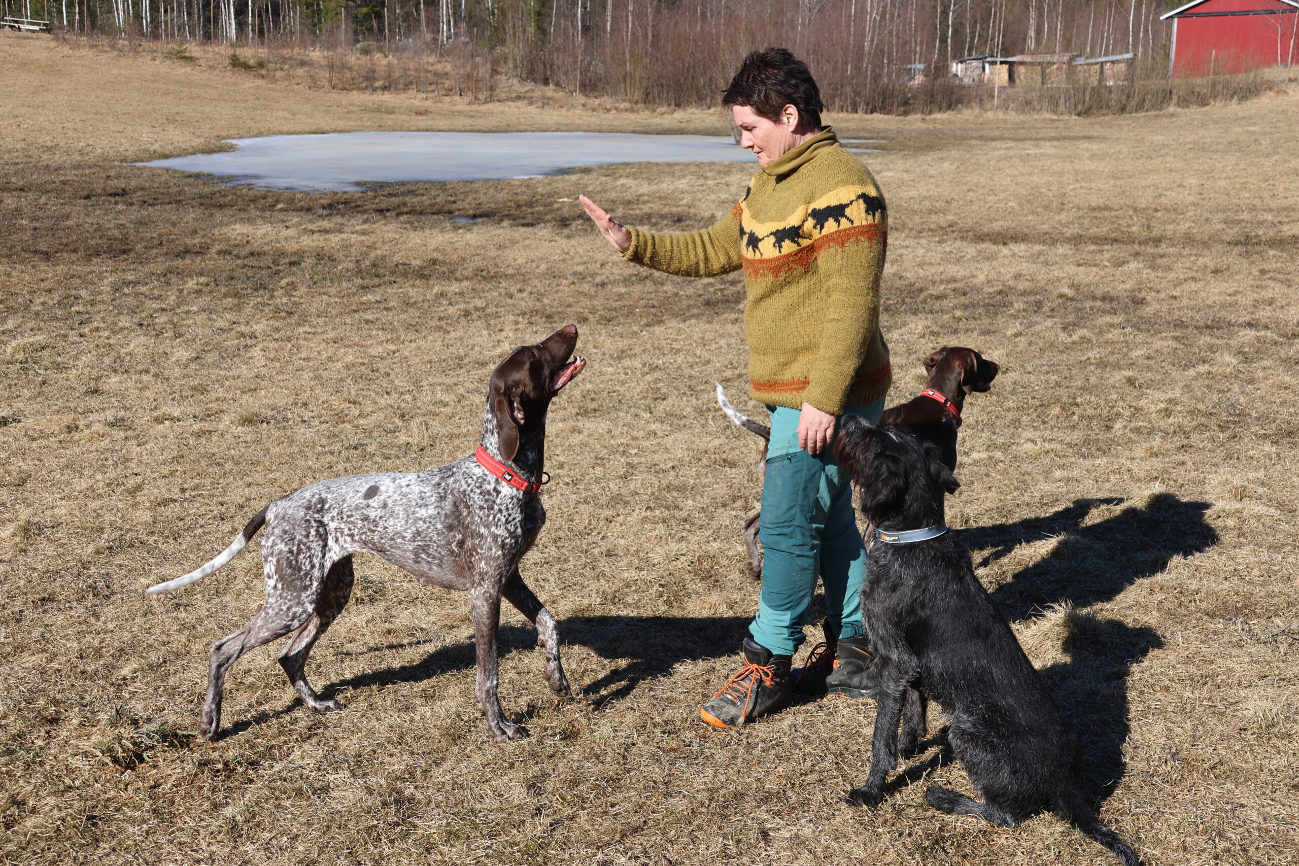 Gunn Marit Fjellskogen hadde med seg tre hunder i parken. Den svarte er hennes egen hund.
