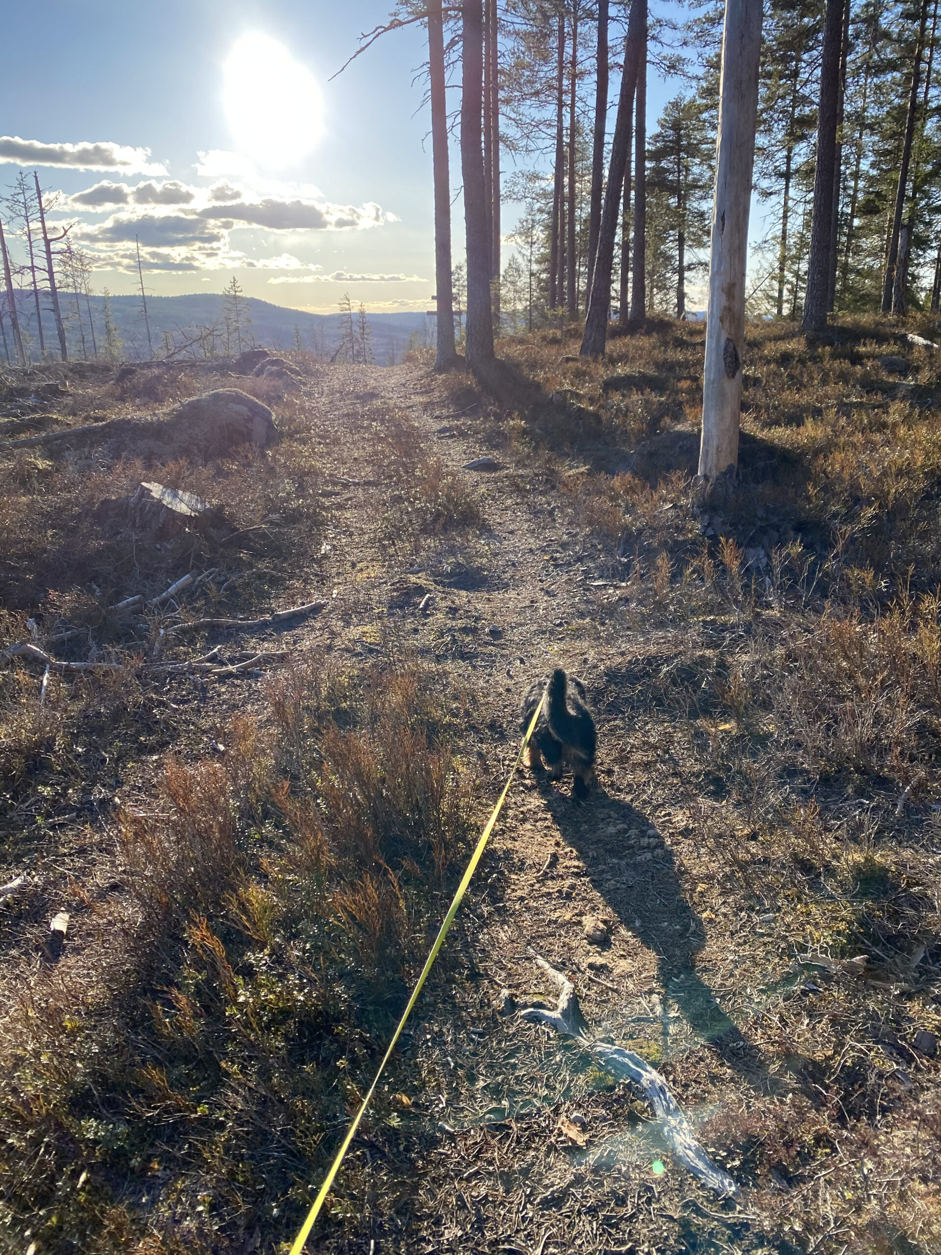 Spetelanes gruver er et fint turmål. Du kommer dit både fra Skyrud og Marikollen.
