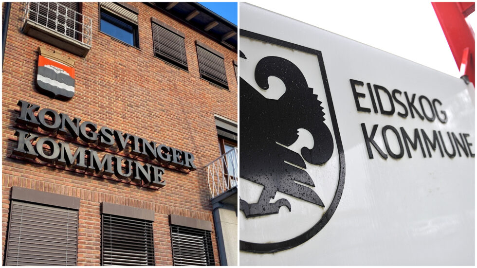 At både Eidskog og Kongsvinger er saksøkt, skyldes at de to kommunene i en periode samorganiserte barnevernstjenestene sine.