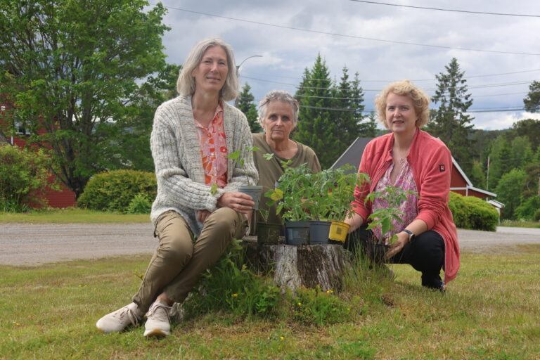 Lena Kallander, Eirin Østby og AnneMiek Raaijen i Eidskog Bygdekvinnelag gleder seg til onsdagens Blomsterdag på Bøndenes hus.