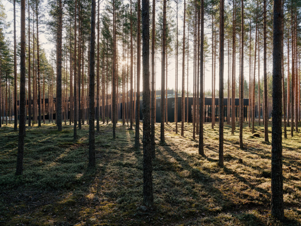 The Plus er nominert til dansk designpris.