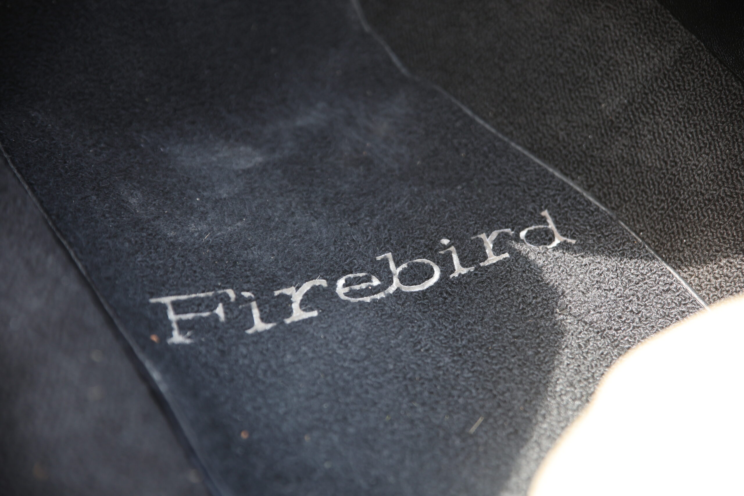 Gulvmatta står det selsvagt Firebird på.