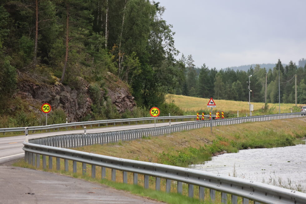Statens vegvesen opplyser at et ødelagt autovern er åraken tll den midlertidige hastighetsnedsettelsen på riksveg 2 ved enden av Sigernnessjøen. Entreprenør er informert og vil utbedre ødeleggelsen i løpet av uke 33 eller 34.