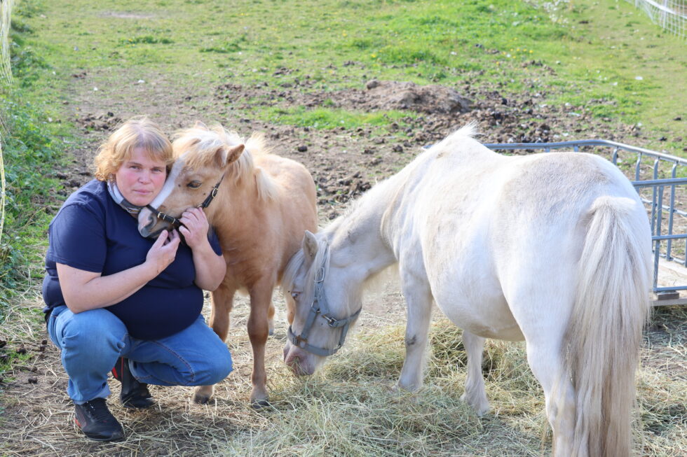 Eidskog bondelag sin leder Ingegerd Pramm Platek og shetlandsponniene Lotta ( 3mnd) og Fride gleder seg itl å vise frem gården på lørdag.