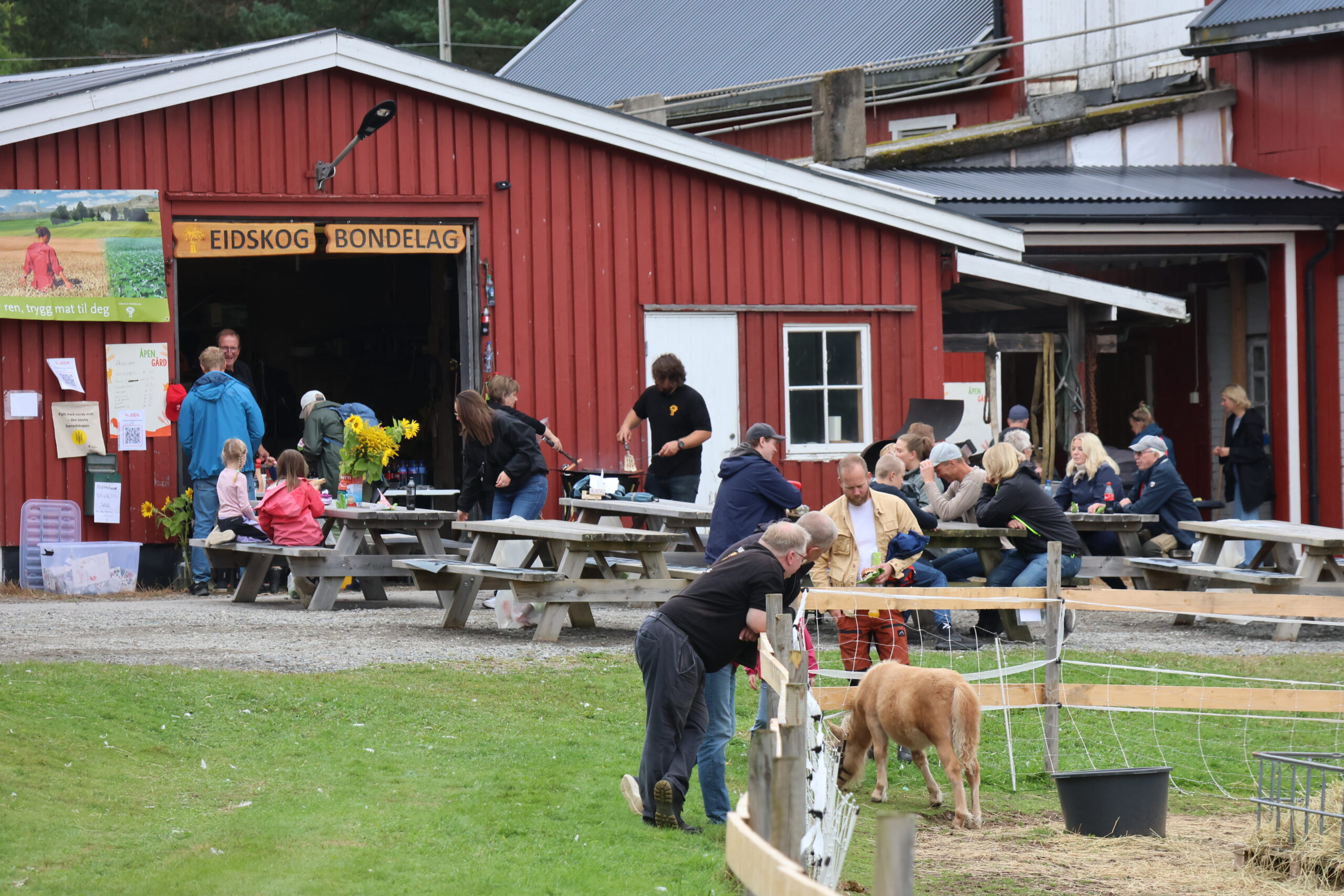 Mange hadde lagt turen til Holseter og "Åpen gård".