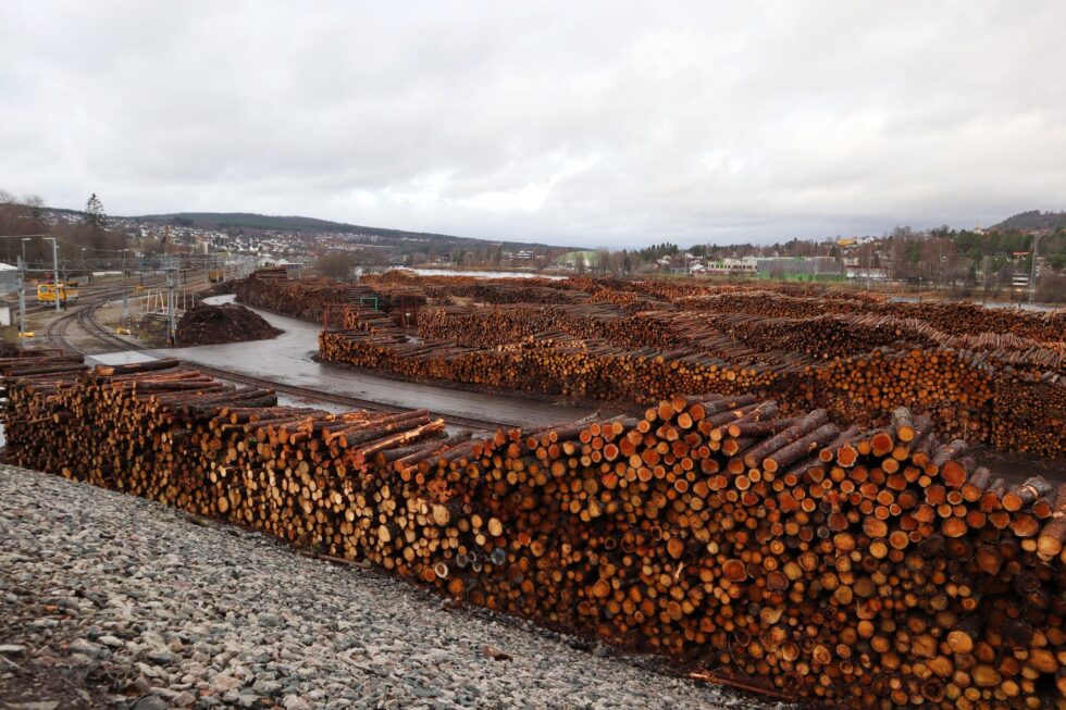 Prisene på massevirke har gått noe ned i tredje kvartal i 2025 viser tall fra Landbruksdirektoratet.