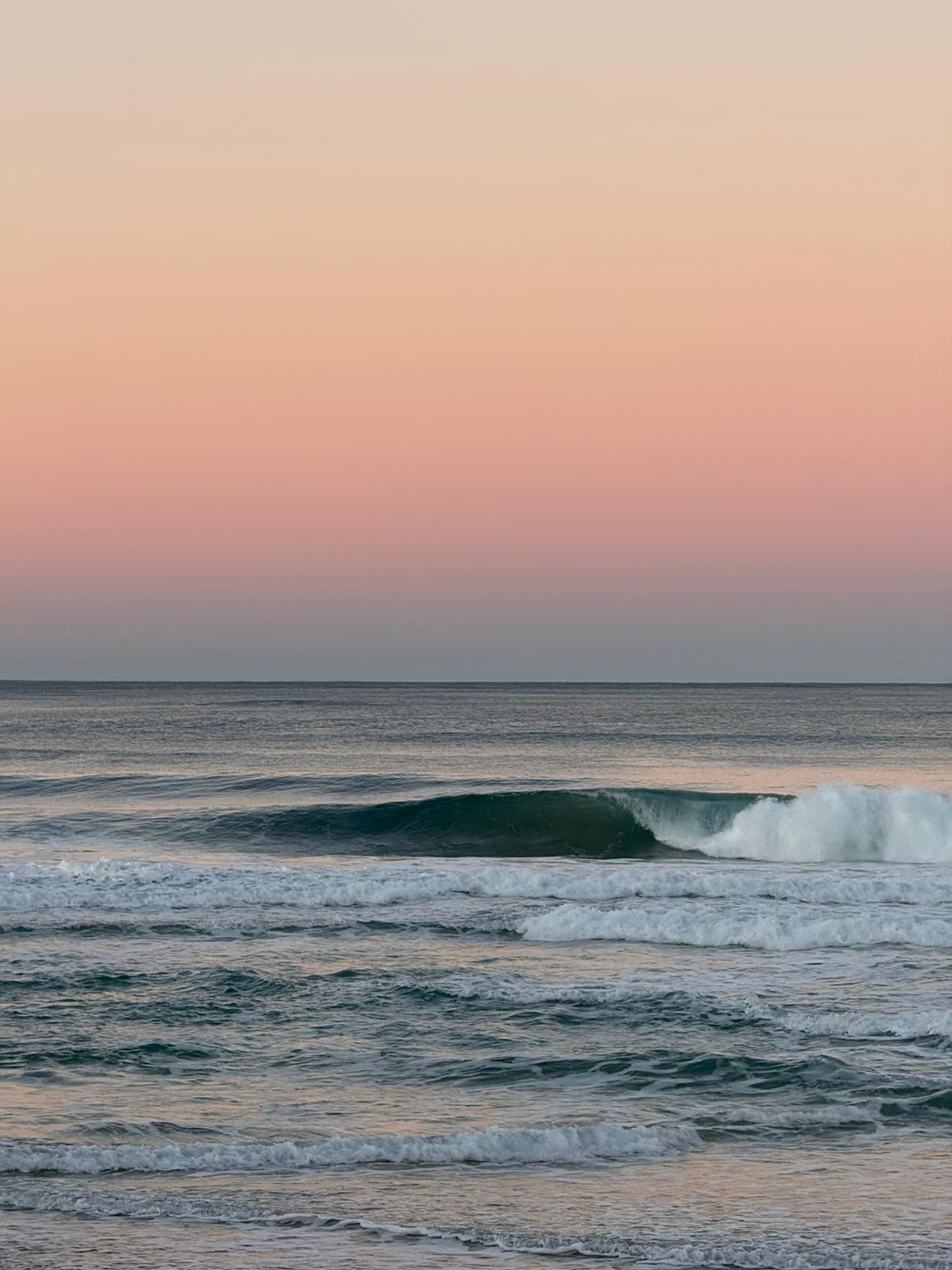 Noen få trikkestopp unna sitt nye hjem i Gold Coast ligger Stillehavet.