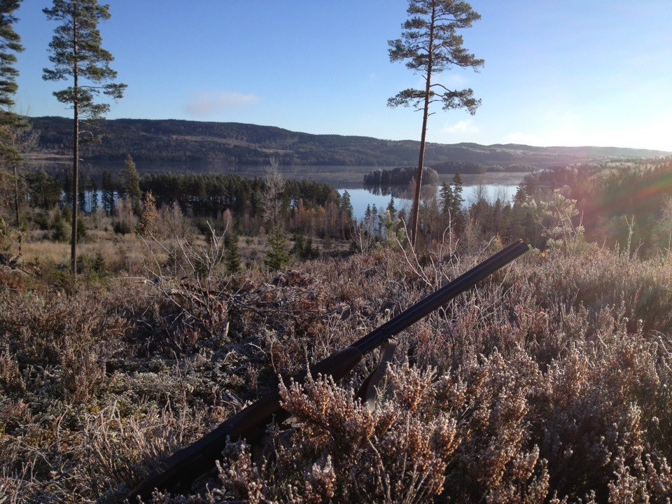 Jakt er en populær friluftsaktivitet i Eidskog. Det viser tall på antall innbetalte jegeravgifter fra forrige jaktår.