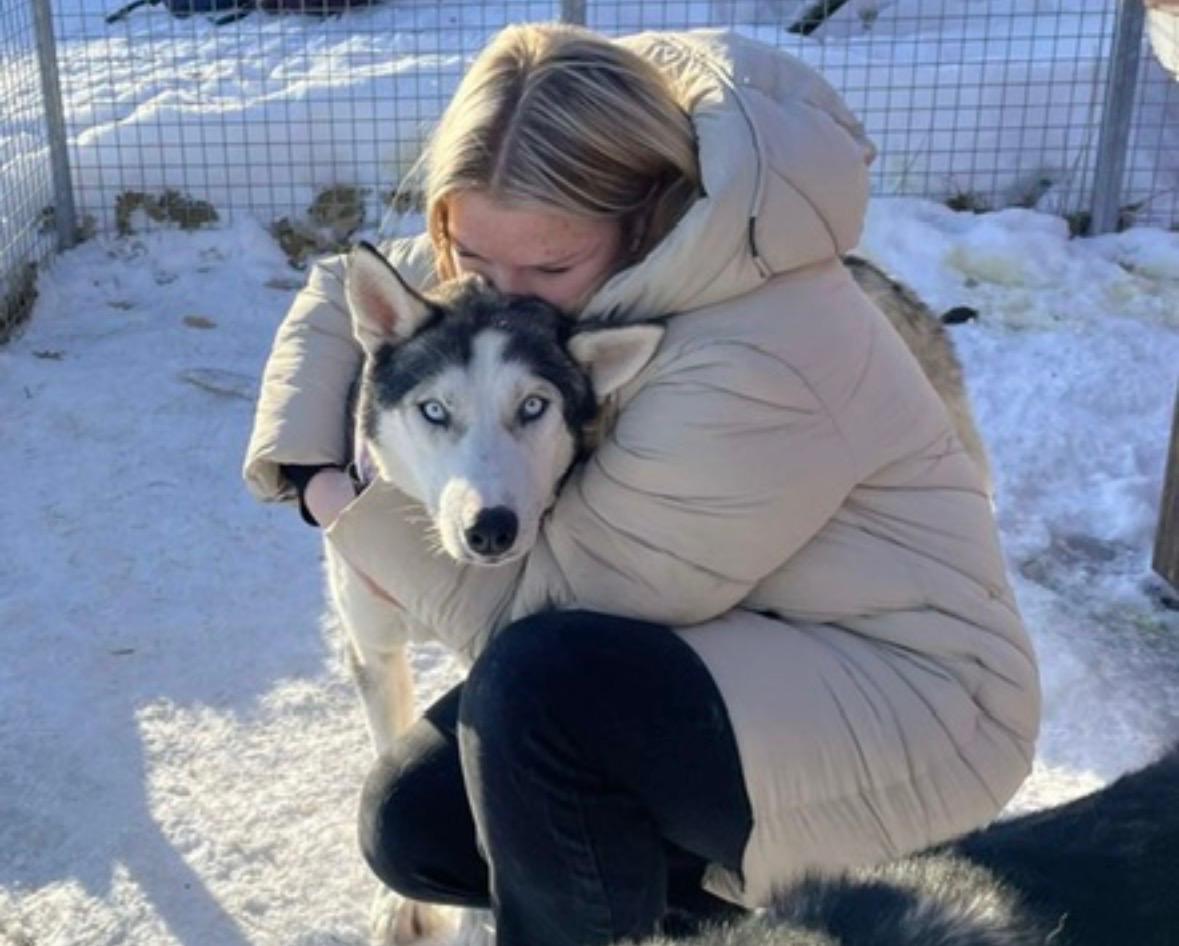 Silje Langelid tar seg alltid tid til litt kos med hundene i hundegården.