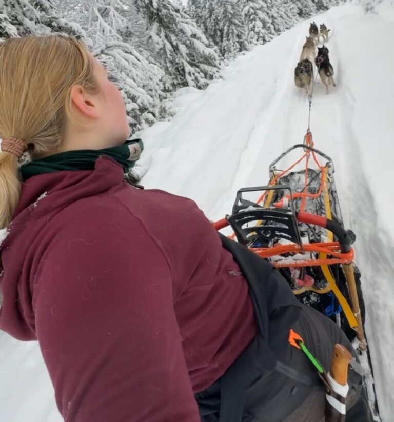 Silje på hundesleden i sesongens første tur på snø.