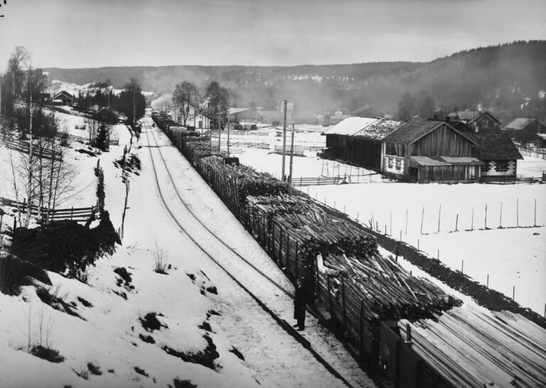 Kjenner du deg igjen? Bildet er tatt i 1945 og viser et vedtog i en bygd i Eidskog.